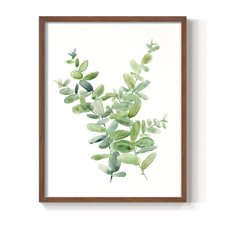 Eucalyptus III Framed Print - Solid Wood, 28" H x 22" W, Brown