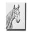 Toile épique Graffiti «Equine Portrait Sketch 1» par Annie Warren, art mural 40 po x 54 po-327402707