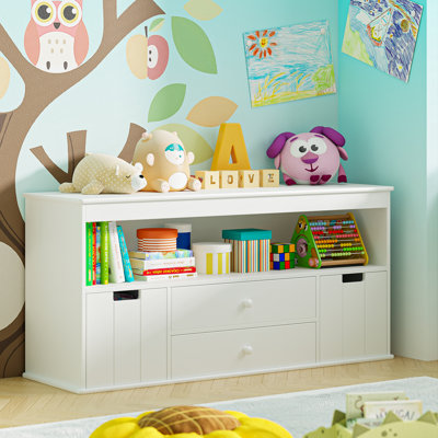 Anjulie Kids Bookcase Toy Storage Organizer With 2 Drawers And 2 Bins by Isabelle & Max