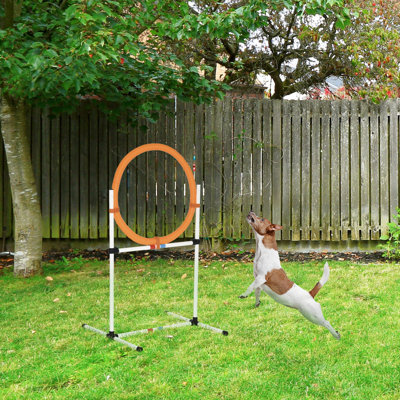 21 Dog Training Equipment - Plastic Tire Jump Ring/hurdle Bar, White, Ideal For Intense Training, With Sports Bag Sessions,