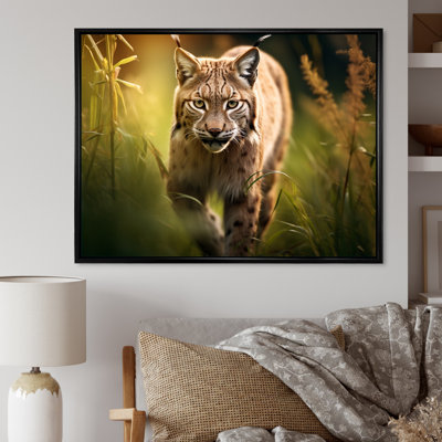 Portrait de lynx brun dans la nature I