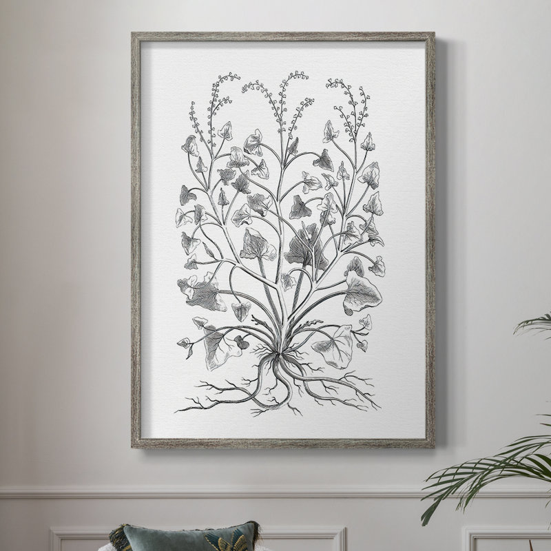 «B&W Plant Speciment», reproduction encadrée - bois massif, H 11 po x l 9 po