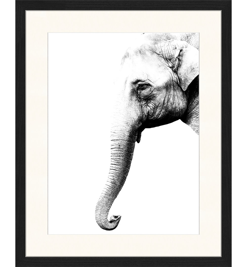 Elephant - Picture Frame Graphic Art Print on Paper
