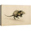 Art rétro de souris sur fond beige naturel - reproduction d'art sur toile encadrée-211345521-211345524