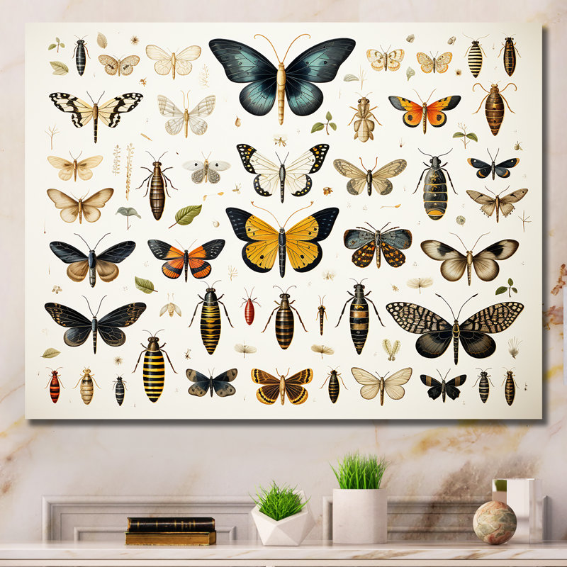 Insectes et insectes jaunes et bleus - Insectes et insectes muraux, Toile tendue, H 12 po x l 20 po x P 1 po