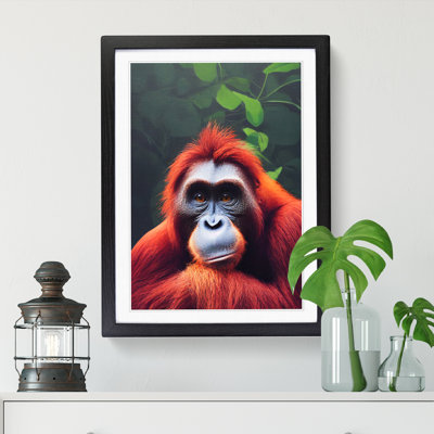 Orangutan Stare - Picture Frame Print