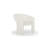 Chihoko Montie 27" W Polyester Armchair