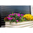 Planter-1348344875