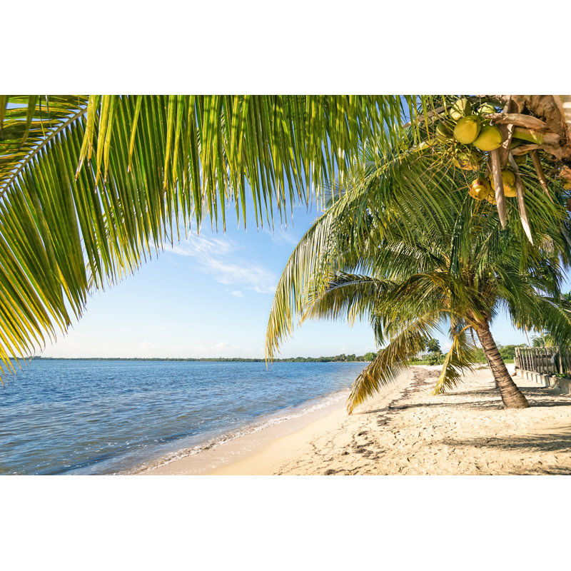Beach Palms - Photographie sur toile tendue, L 48 po x H 32 po
