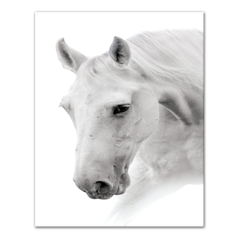 Cheval noir et blanc sur toile, H 14 po x l 11 po x P 1,25 po