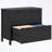 Metal frame File Cabinet with 2 Drawers and Keys