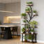 Plant Stand