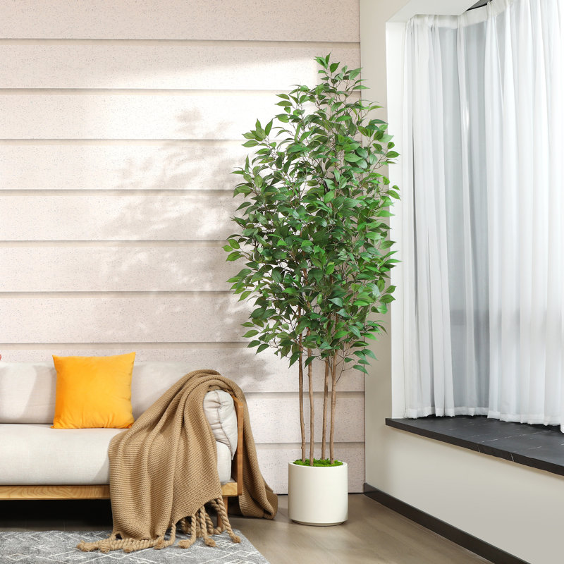 Adcock Faux Ficus Tree in White Planter, 82" H x 20" W x 20" D