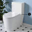 Toilette allongée une pièce à gauche rase de 1,28 GPF Liberte