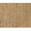 Sprouts Wool Area Rug in Beige-40705259