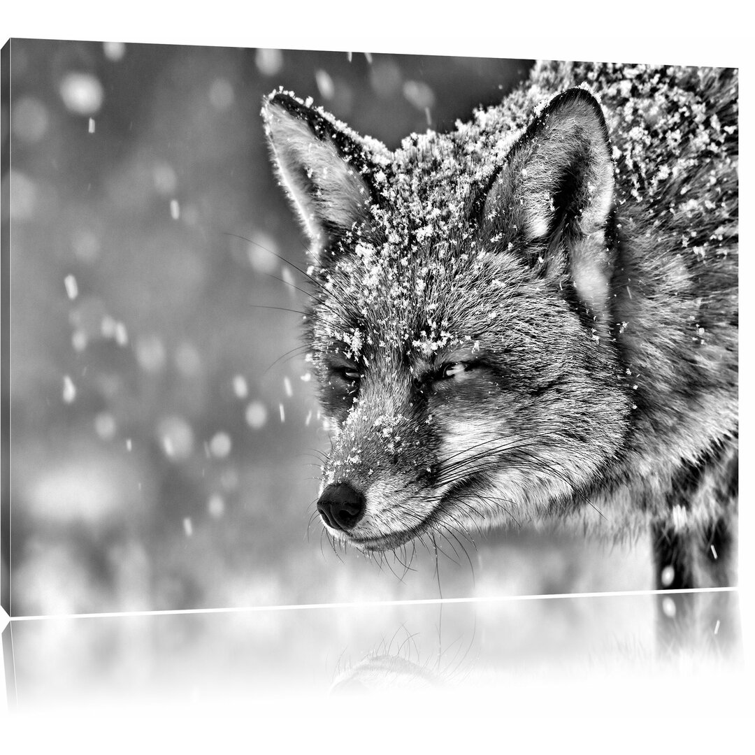 Leinwandbild Fuchs im Schnee in Monochrom