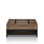 Tanesha Lift Top Coffee Table