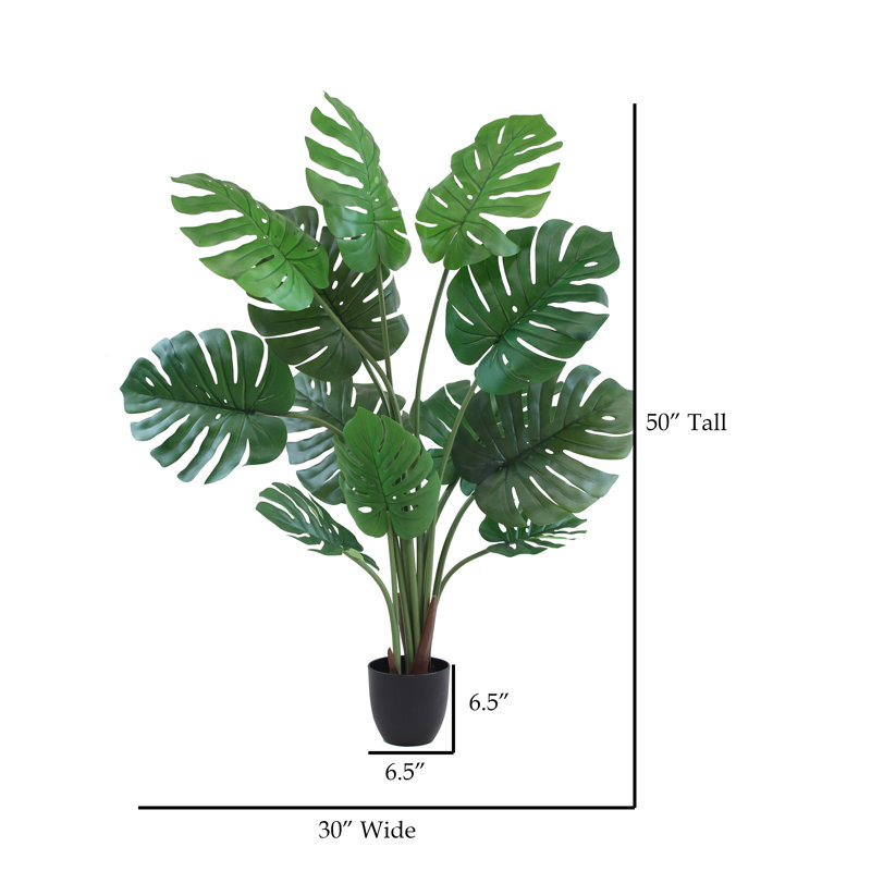 Arbre à fleurs 50 po Monstera