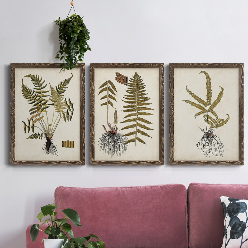 Fern Botanical IV - Ensemble de 3 peintures sur toile encadrées, H 37,5 po x l 82,5 po x P 1,5 po, Noyer