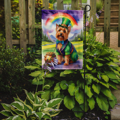 Double Sided 15.5'' H x 11.25'' W Polyester St Patrick's Day Garden Flag