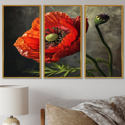 Gros plan sur le coquelicot rouge - ensemble de salon art mural coquelicot