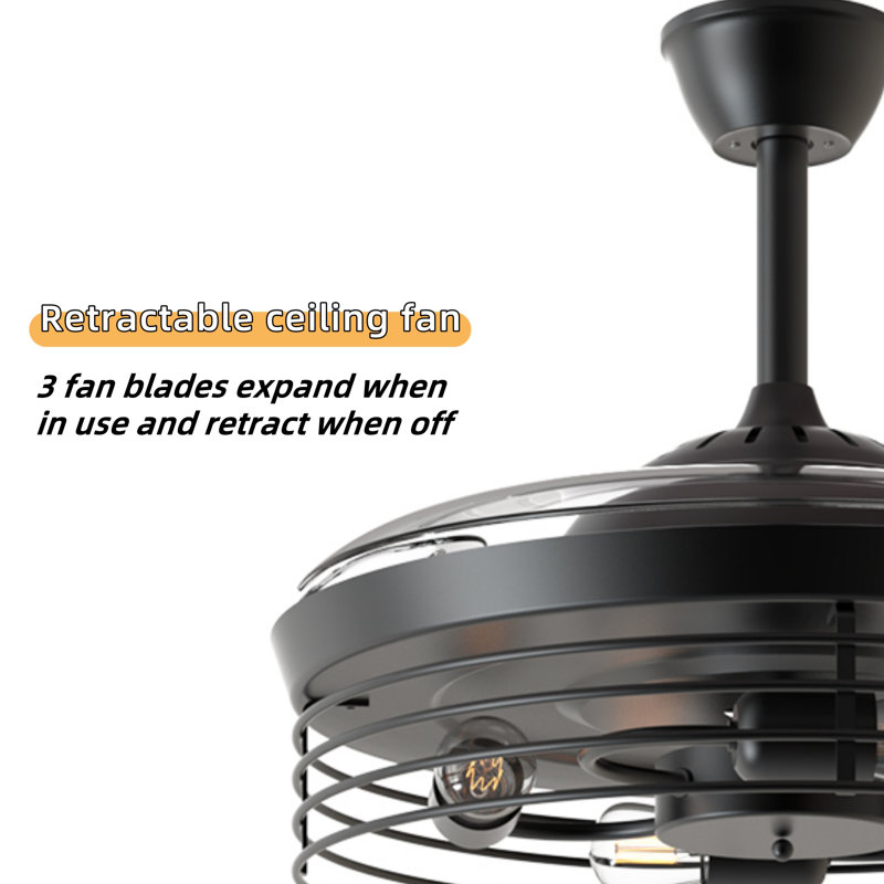 Retractable Ceiling Fan With Lights