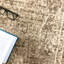 Alexia Oriental Area Rug-25689722