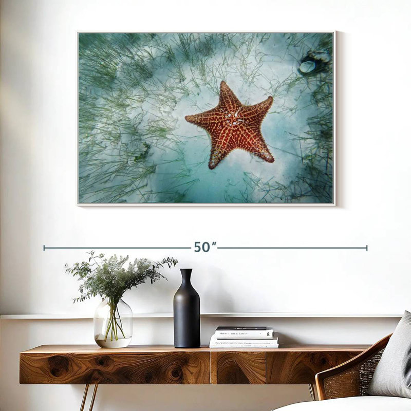 Étoile de mer peu profonde, Cadre flottant blanc, 40 po x 27 po