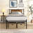 Metal Bed Frame With Headboard