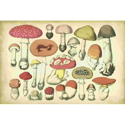 Tableau champignon rétro
