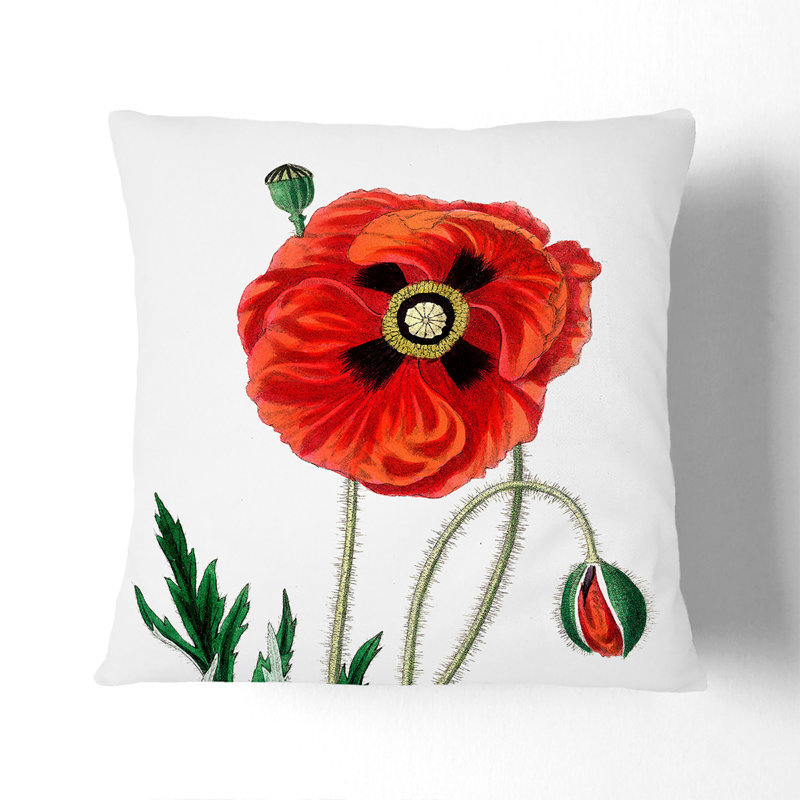 Floral Square Cushion, White, 55cm H x 55cm W x 20cm D