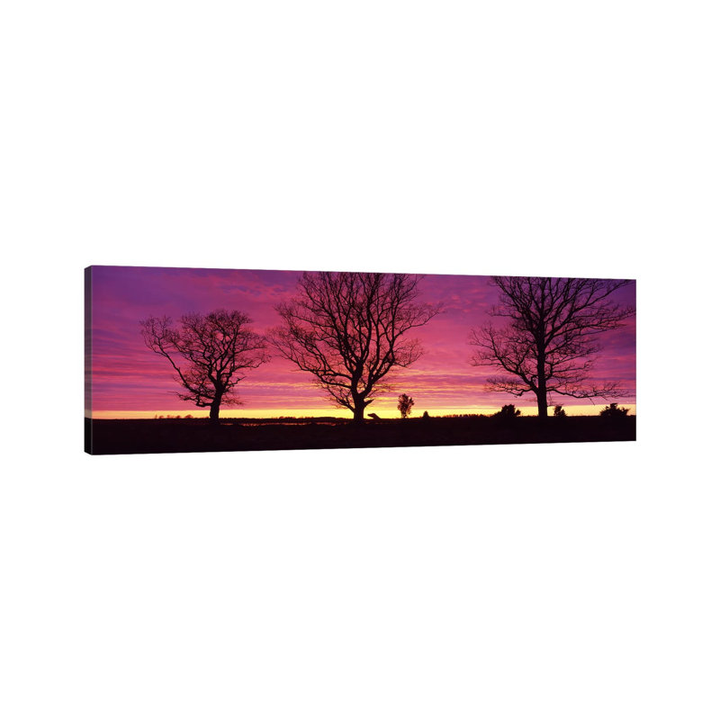 Oak Trees, Sunset, Sweden by Panoramic Images - Wrapped Canvas Panoramic Print, 30.48 cm H x 91.44 cm W x 1.91 cm D