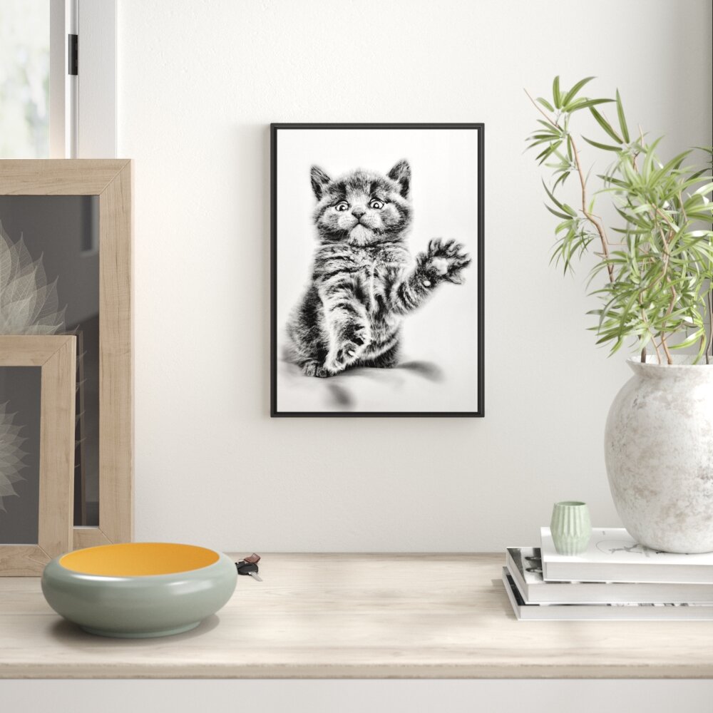 Gerahmtes Wandbild Babykatze die bettelt