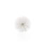 Grande sphère Erizo Spiked-706016404-748304787
