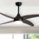 Ceiling Fan with LED Lights