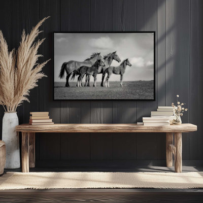Family of Wild Horses Canvas Print 