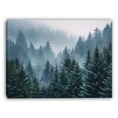 «Fog Over Winter Pines», art mural sur toile tendue