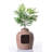 Lipton Covered Hidden Cat Litter Box with Decorative Planter