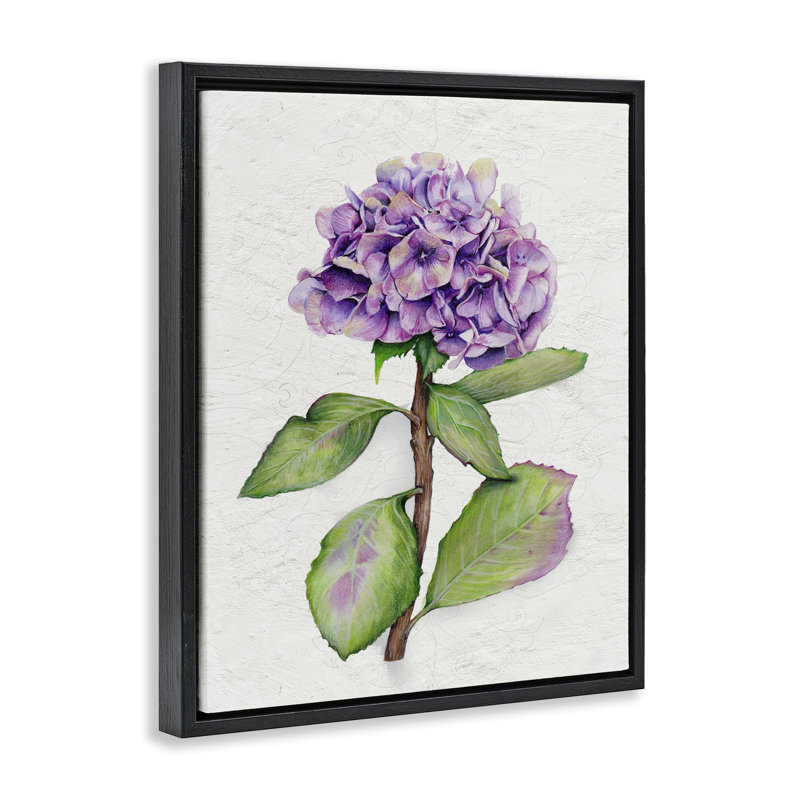 «European Style Hydrangea», art mural encadré sur toile flottante par Levison Design, Cadre flottant noir de jais