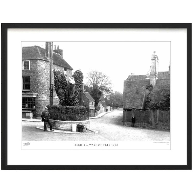 Bexhill, Walnut Tree 1903 by Francis Frith - Single Picture Frame Print, 40cm H x 50cm W x 2.3cm D