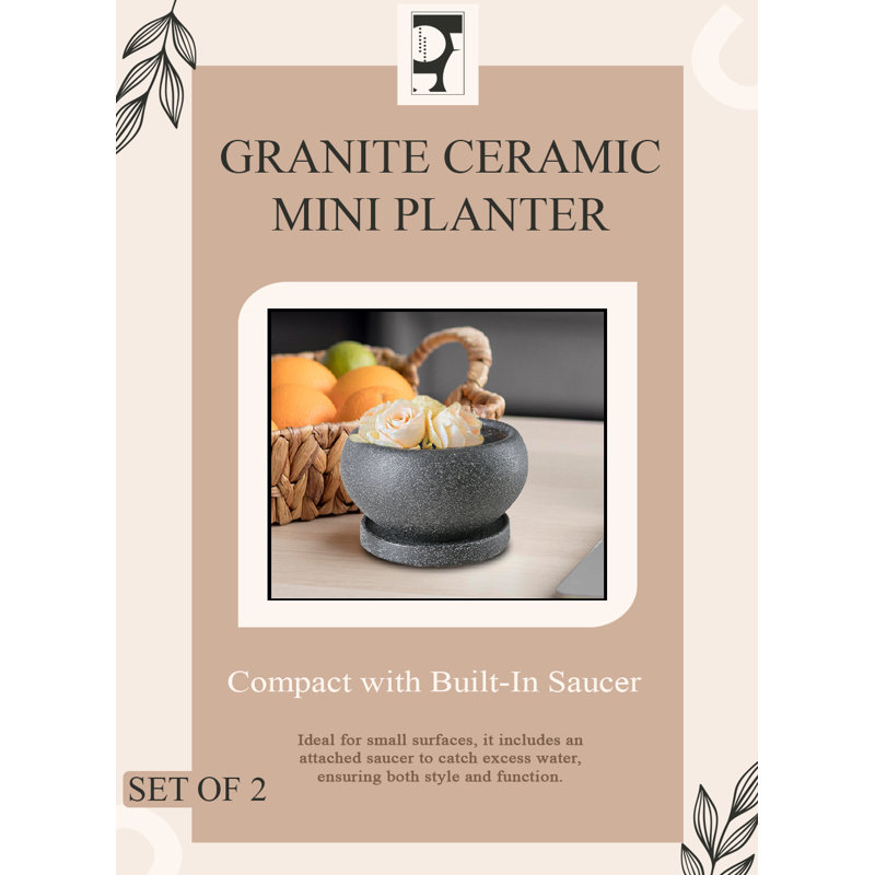  Mini pot à fleurs en granit en céramique, pots ronds noirs texturés avec soucoupes attachées, jardinières d'intérieur modernes pour plantes grasses, décorations de table et de cactus, 6 po de diamètre et 3,5 po de hauteur, paquet de 2