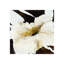Blanco Flor IV Print by Bridges-26939997-26939998