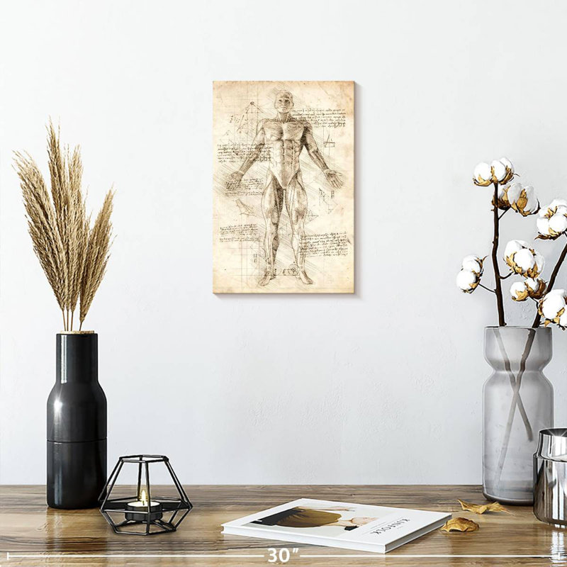 Keiri Human Muscles Anatomy, 12" H x 8" W