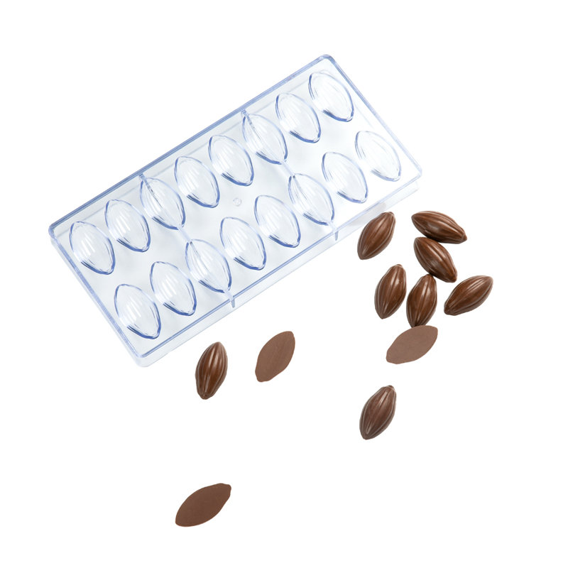 Moules à bonbons 10,8 x 5,3 pouces, 10 moules à chocolat cacao - 16 cavités, résistant au congélateur, moule à dessert en polycarbonate transparent, facile à libérer, de qualité alimentaire