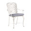 Provance Patio Dining Armchair with Cushion-83260245-93663948-83260219