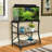 Seleah Rectangle Aquarium Stand-642569788