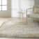 Rush Abstract Area Rug