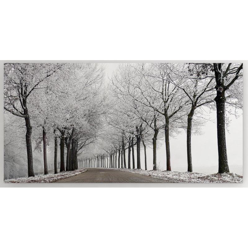 " Winter Curve ", 16" H x 32" W x 1.5" D