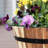 18"D Solid Acacia Wood Planters (Set of 2 - 18"D & 14.5"D) - Natural Wood Color-1315669326