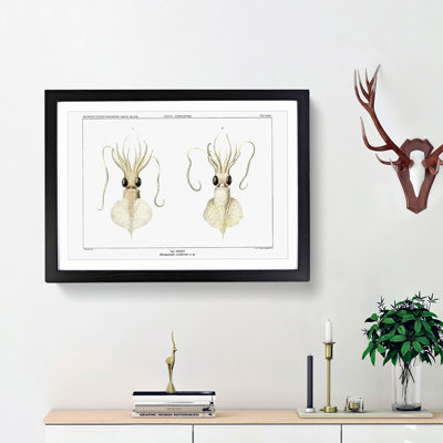 Love Heart Squid by Carl Chun - Framed Print